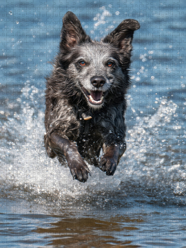 Plitsch, Platsch ist das ein SPass