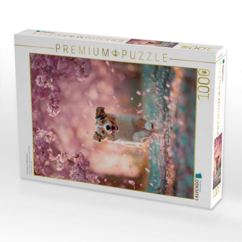 Vier Pfoten im Blütenrausch