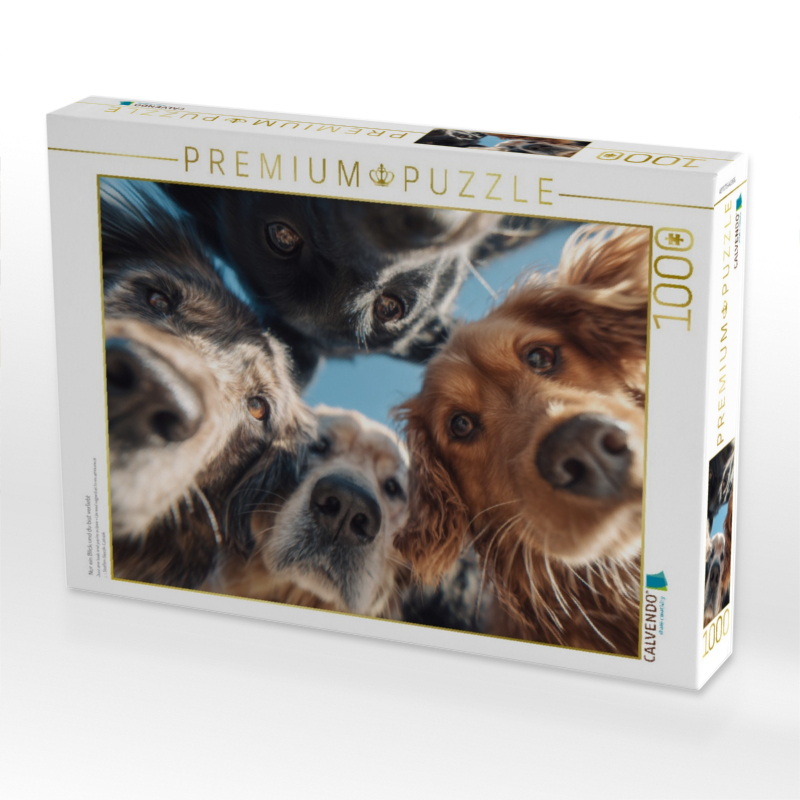 Nur ein Blick und du bist verliebt