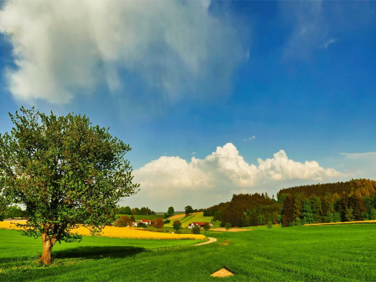 Frühling im Augsburger Land