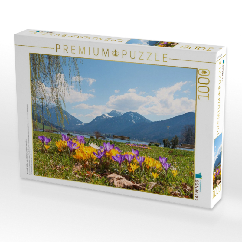 Kurpark Schliersee mit Blick zur Brecherspitze