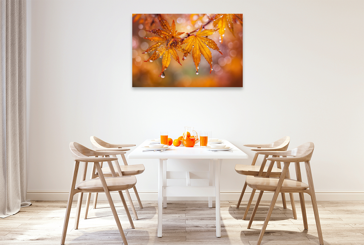 Jeder Tropfen spiegelt das Leben