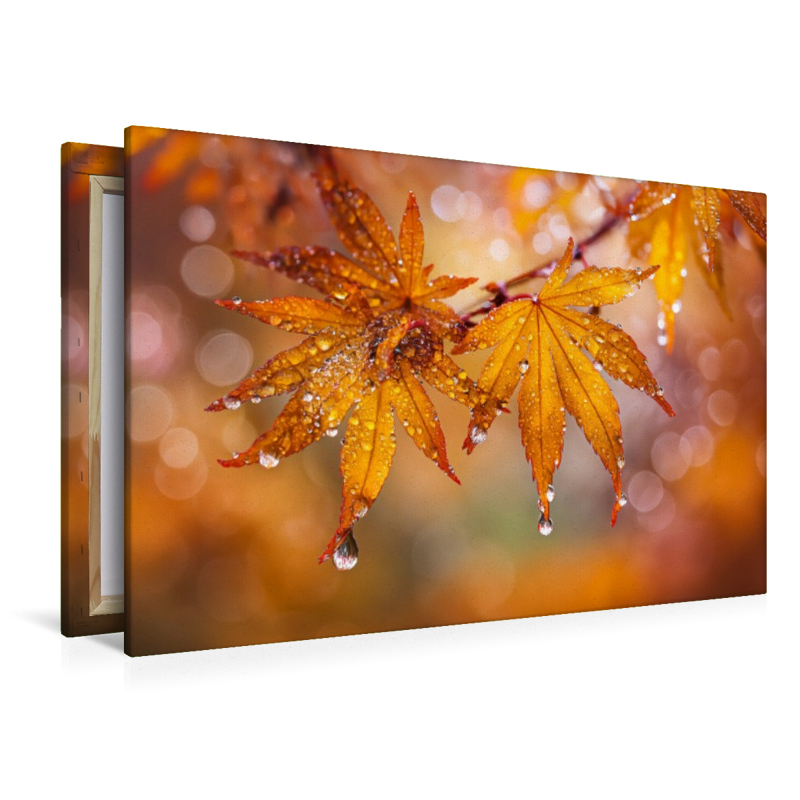 Jeder Tropfen spiegelt das Leben