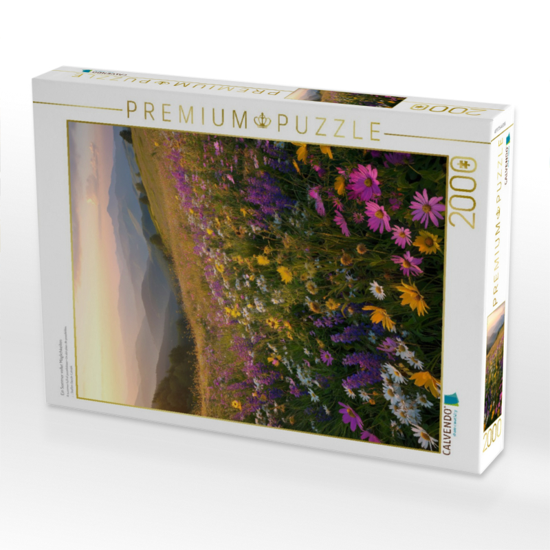 Ein Sommer voller Möglichkeiten