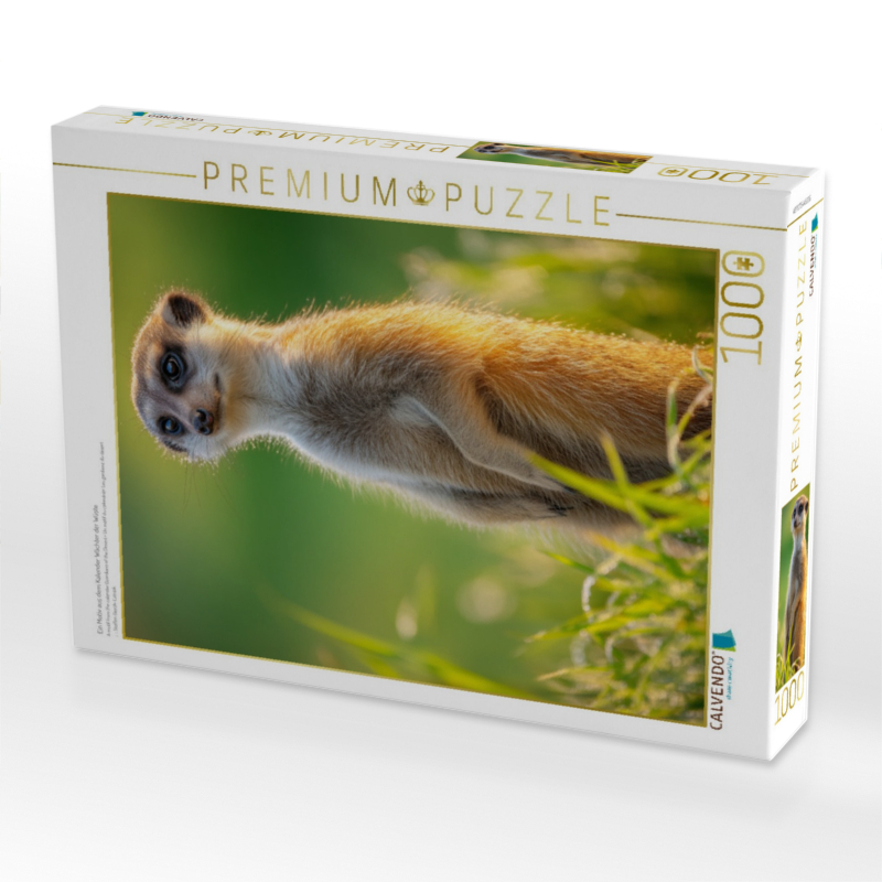 Ein Motiv aus dem Kalender Wächter der Wüste