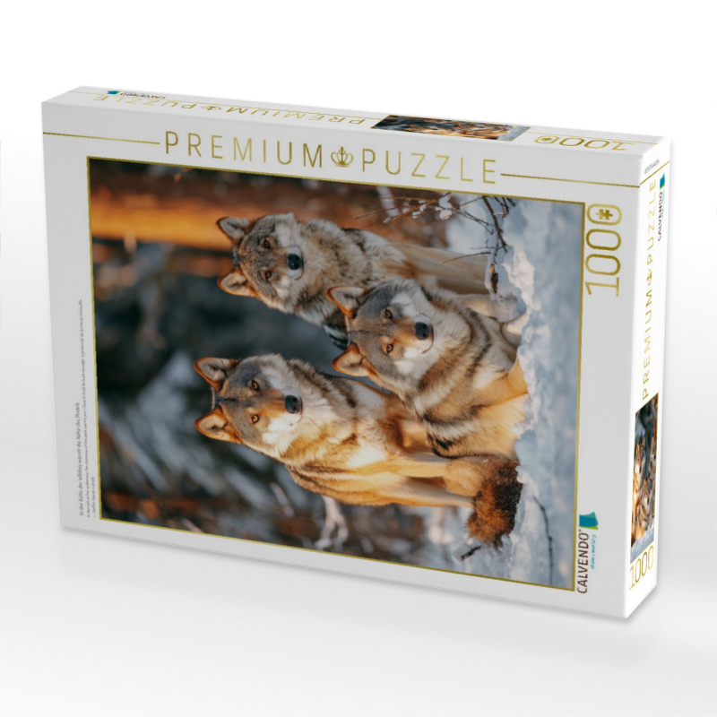 In der Kälte der Wildnis wärmt die Nähe des Rudels