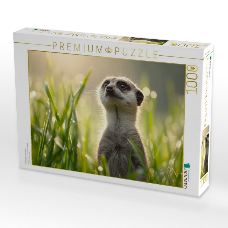 Frühling, Ich bin bereit