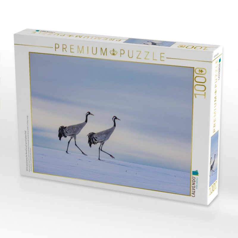 Winterspaziergang der Kraniche auf verschneitem Feld