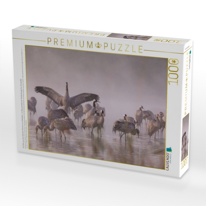 Ein Motiv aus dem Kalender Kraniche am Schlafplatz - im Naturparadies der Mecklenburgischen Seenplatte