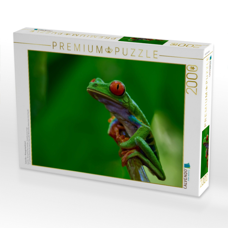 Costa Rica - Rotaugenlaubfrosch