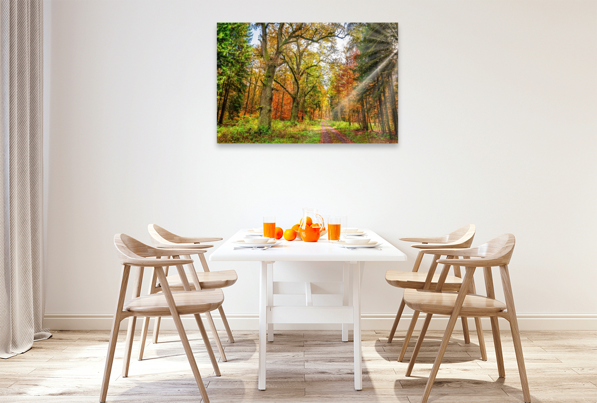 Märchenhafter Wald mit knorrigen Eichen im Herbstlicht lädt zum Wandern ein, Hessen Deutschland