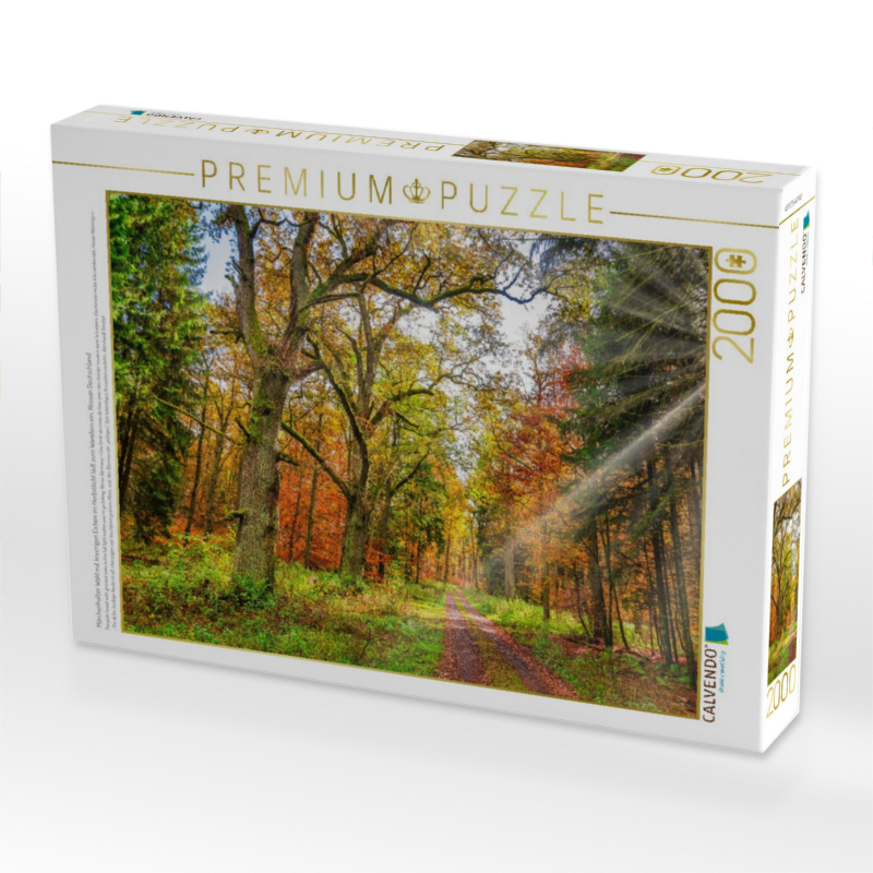 Märchenhafter Wald mit knorrigen Eichen im Herbstlicht lädt zum Wandern ein, Hessen Deutschland