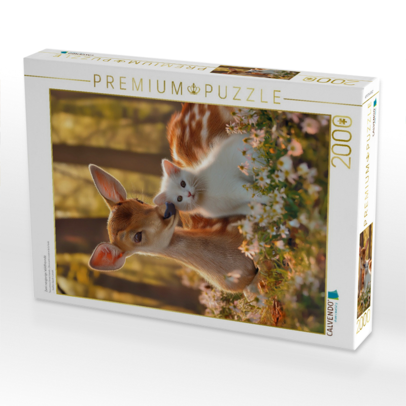 Zwei neugierige Waldfreunde