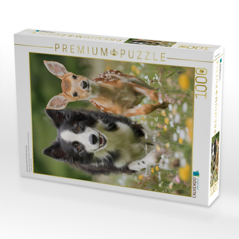 Gemeinsam durch die Blumenwiese