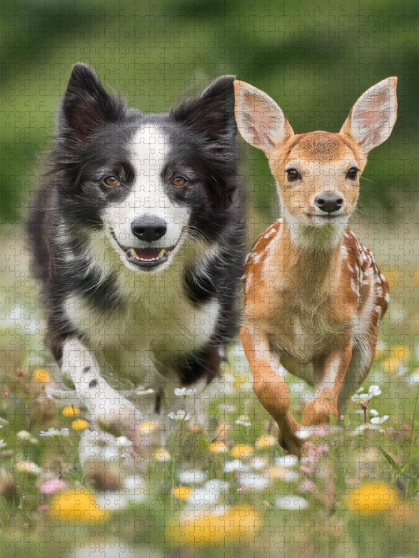 Gemeinsam durch die Blumenwiese