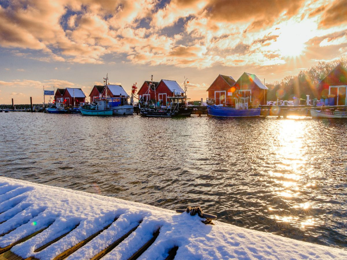 Weiße Wiek im Winter