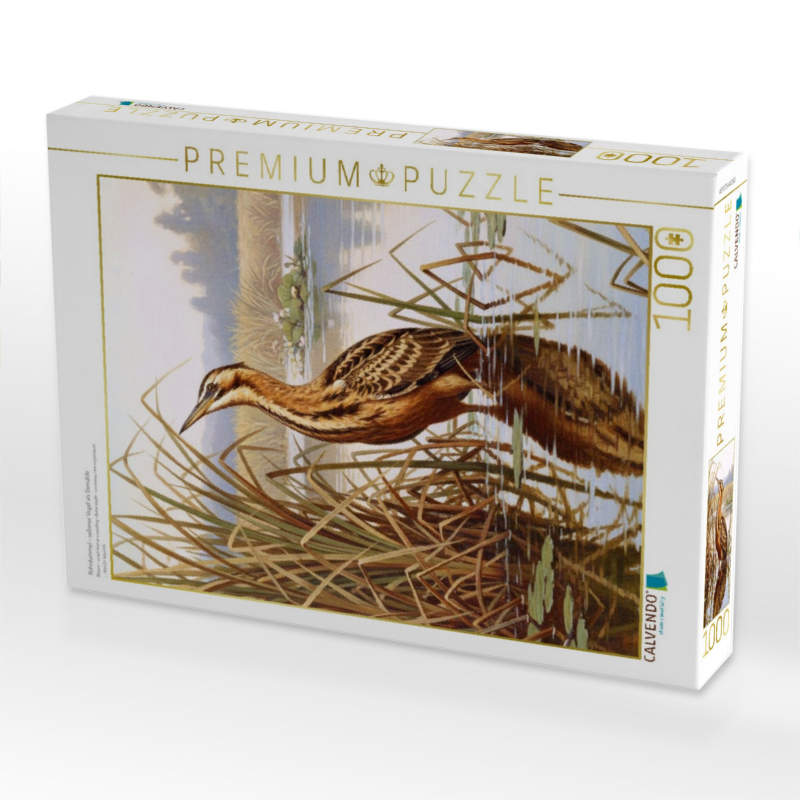 Rohrdommel - seltener Vogel als Gemälde