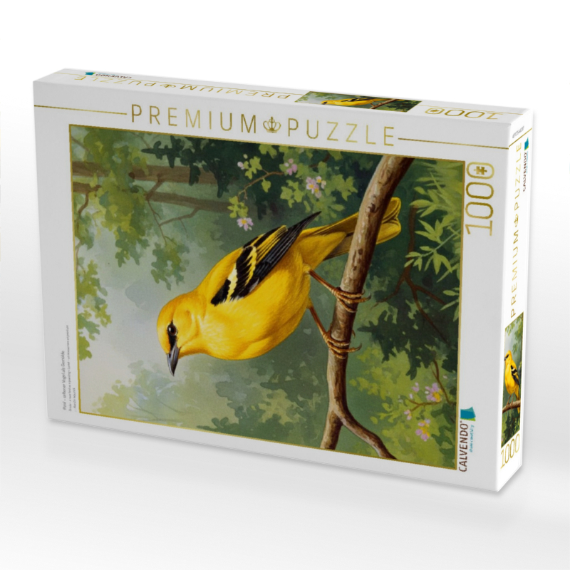 Pirol - seltener Vogel als Gemälde