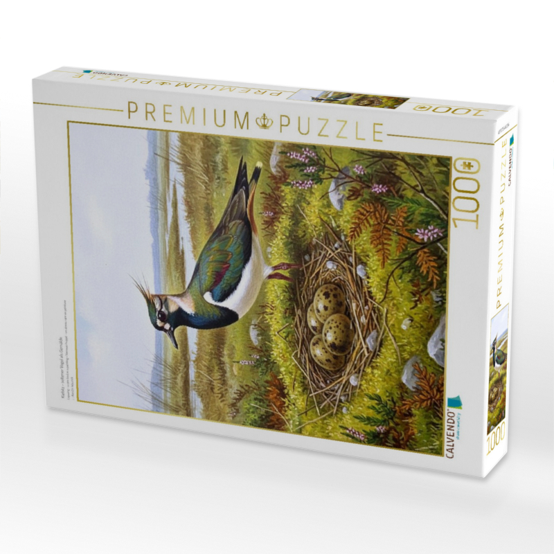 Kiebitz - seltener Vogel als Gemälde