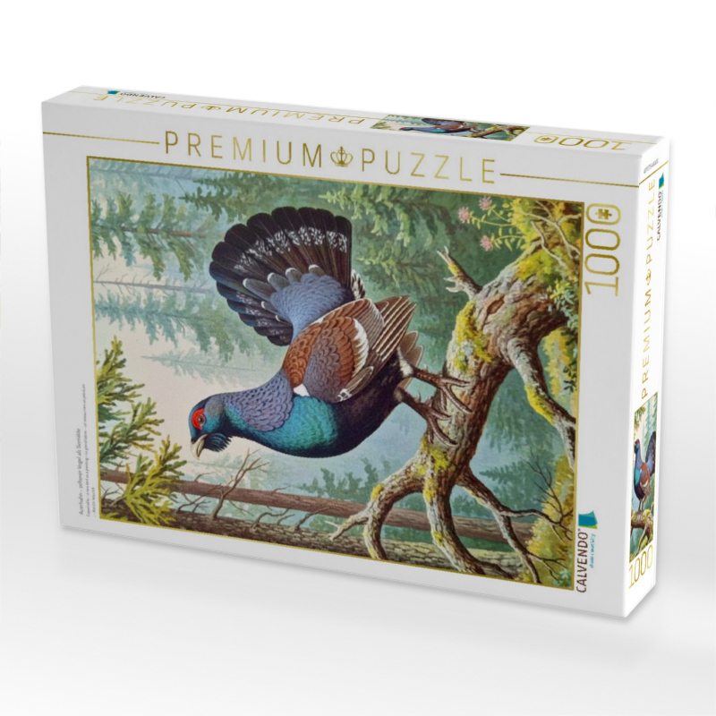 Auerhahn - seltener Vogel als Gemälde