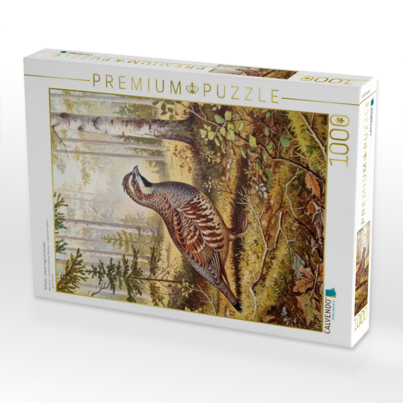 Birkhuhn - seltener Vogel als Gemälde