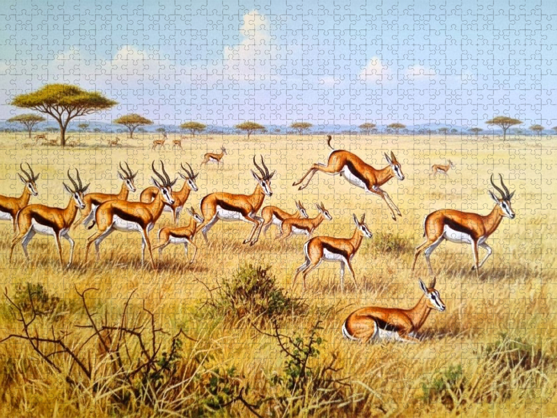 Springböcke mit Jungtieren als Gemälde