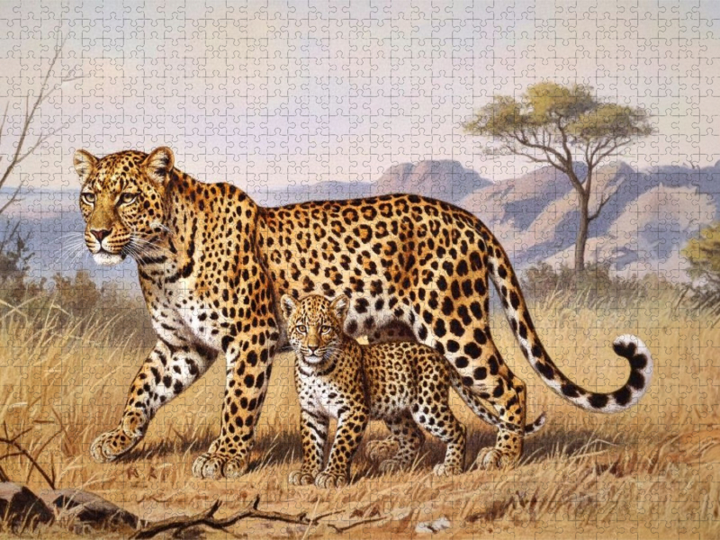 Leopard mit Nachwuchs als Gemälde