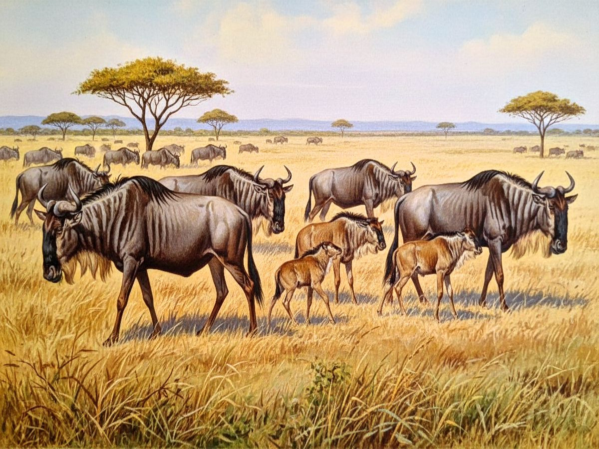Gemälde einer Herde Gnus in Afrika