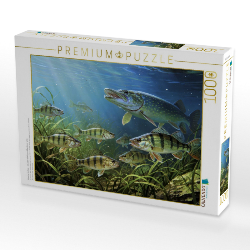 Barsche im See – wo jeder Wurf zum Abenteuer wird.