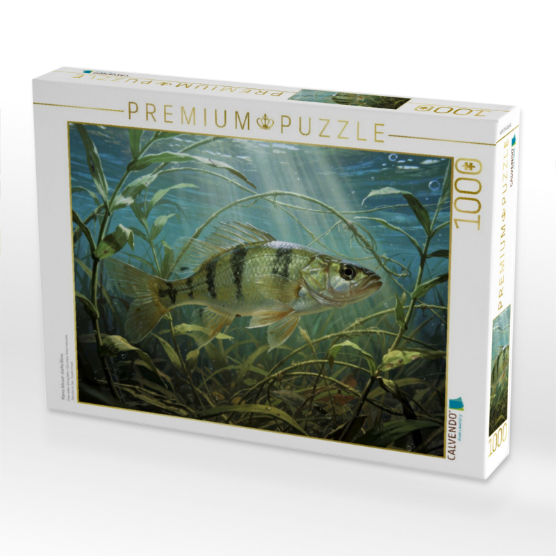 Klares Wasser, starke Bisse.