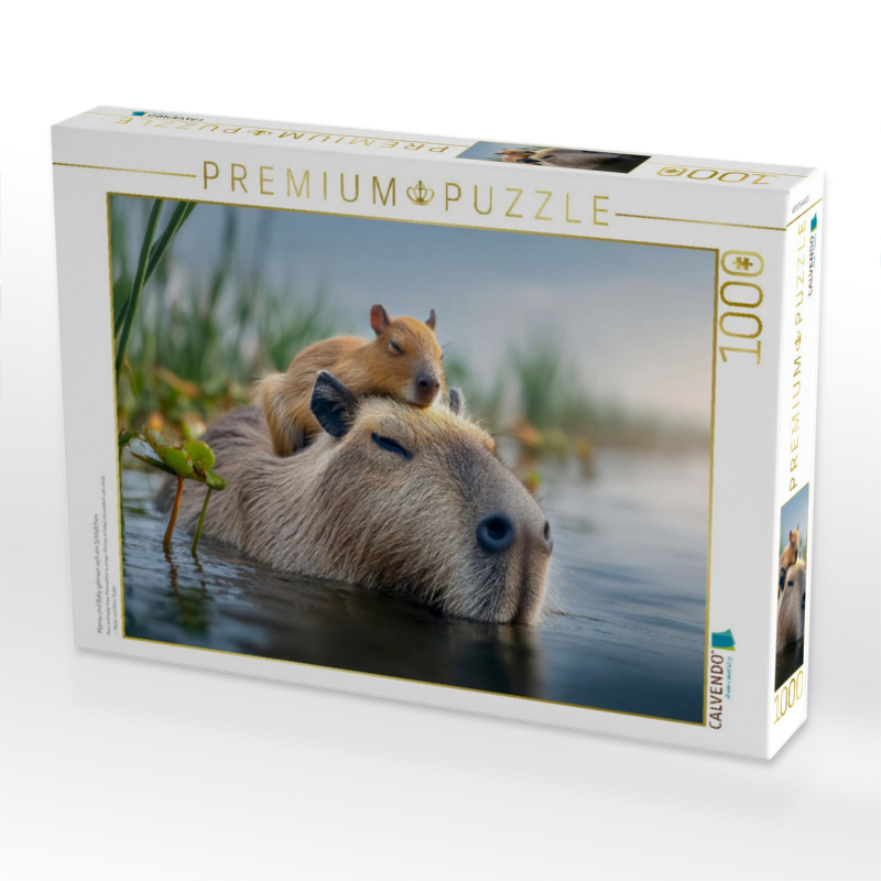 Mama und Baby gönnen sich ein Schläfchen