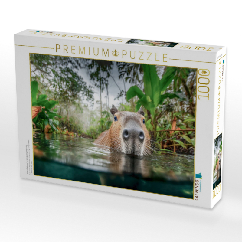 Hier schwimmt es sich auch ganz ruhig