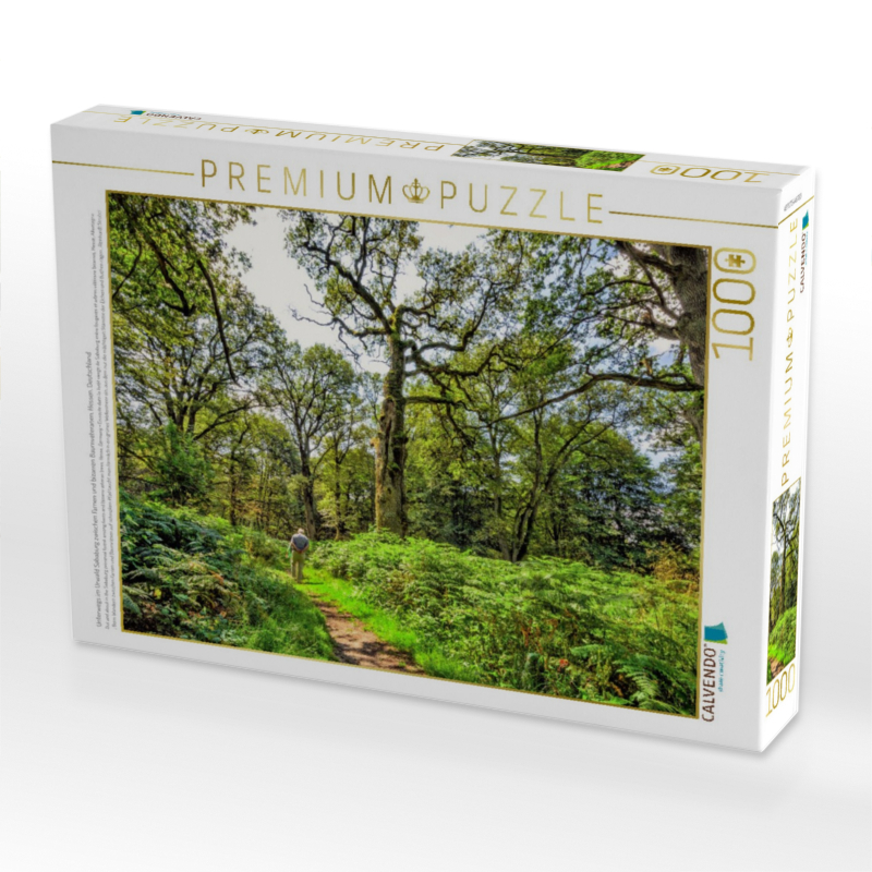 Unterwegs im Urwald Sababurg zwischen Farnen und bizarren Baumveteranen, Hessen, Deutschland