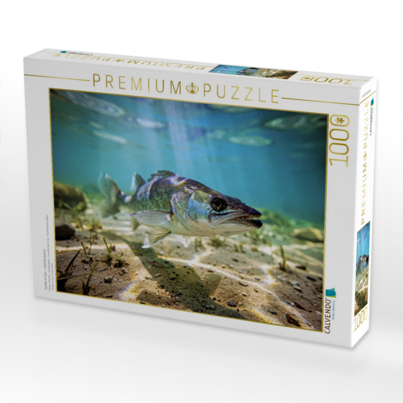 Zander im See – natürlich besser.