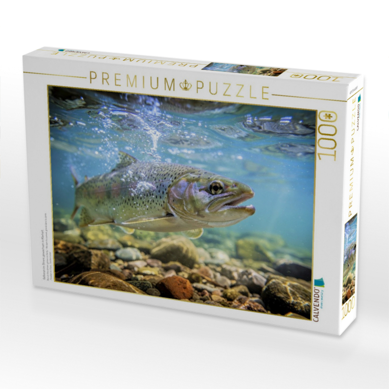 Geboren im Strom, gewachsen in Klarheit.