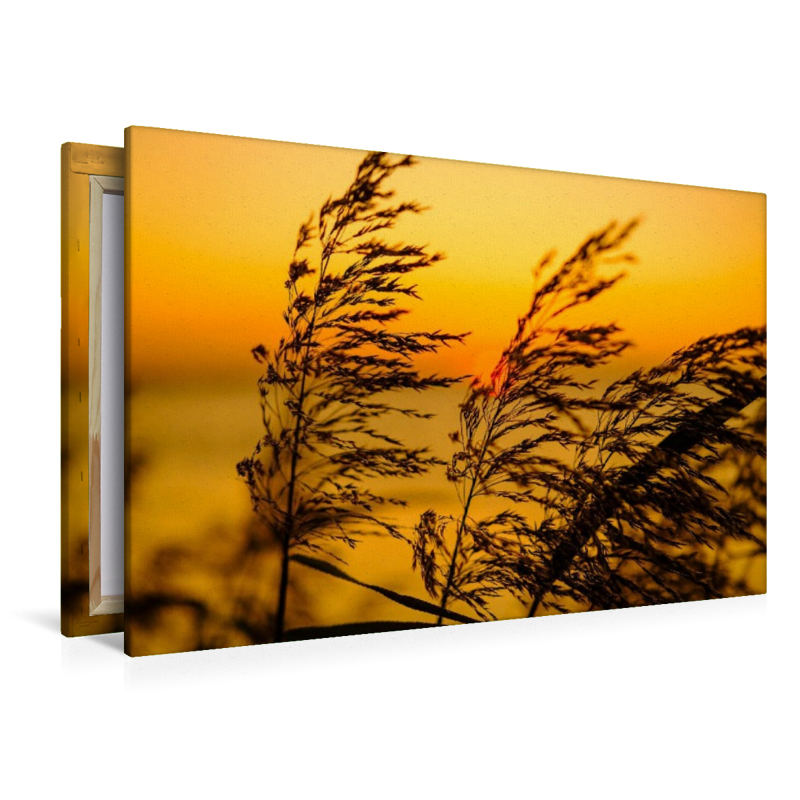 Impressionen am Strand bei Schaprode