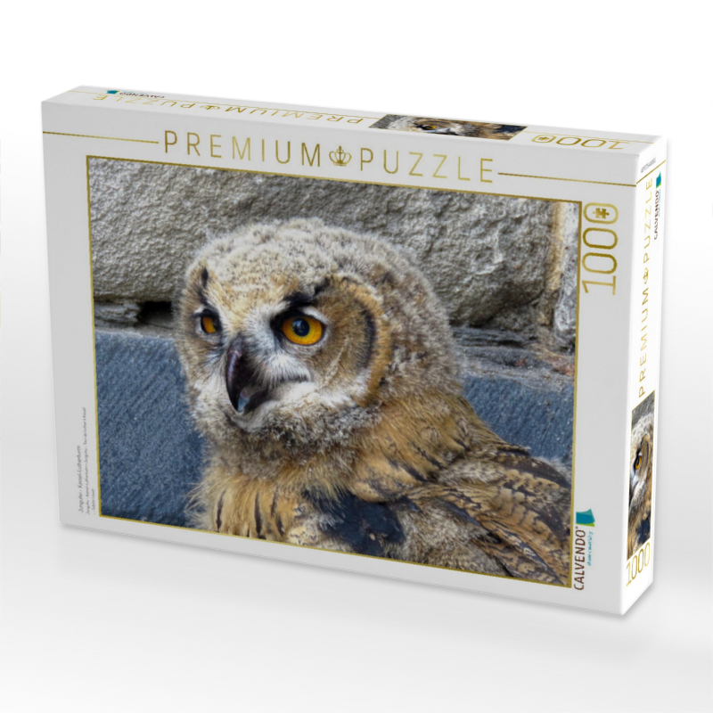 Junguhu - Kassel-Lutherturm