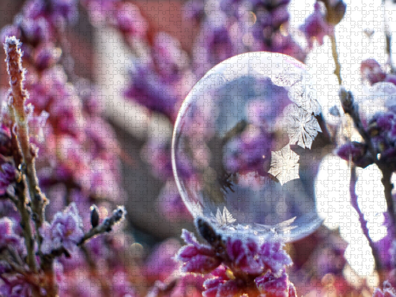 Ein Motiv aus dem Kalender Frostige Seifenblasen