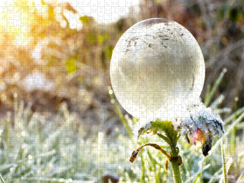 Ein Motiv aus dem Kalender Frostige Seifenblasen