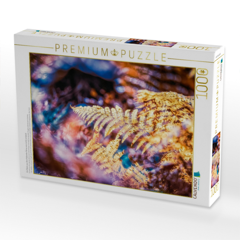 Ein Motiv aus dem Kalender Farne vom Licht umtanzt