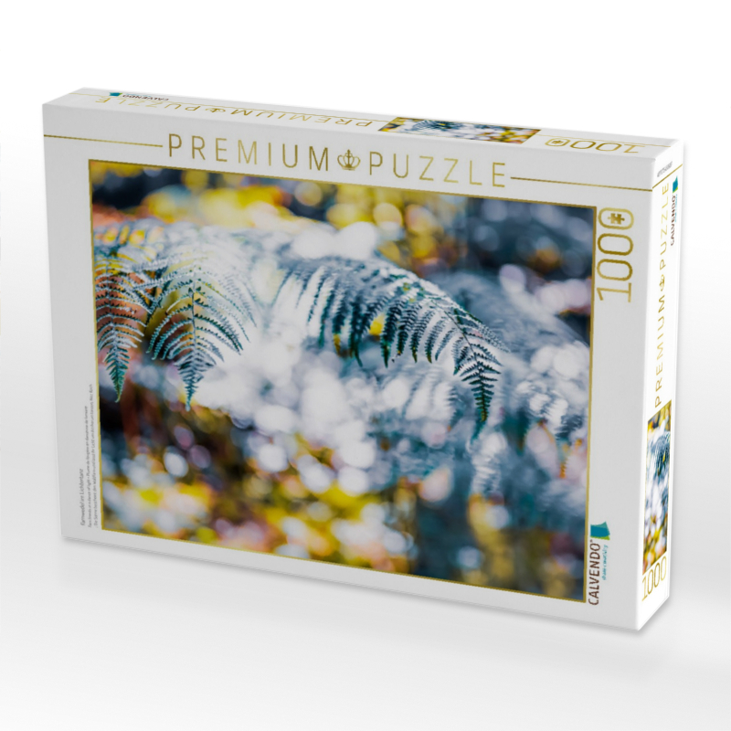 Farnwedel im Lichtertanz