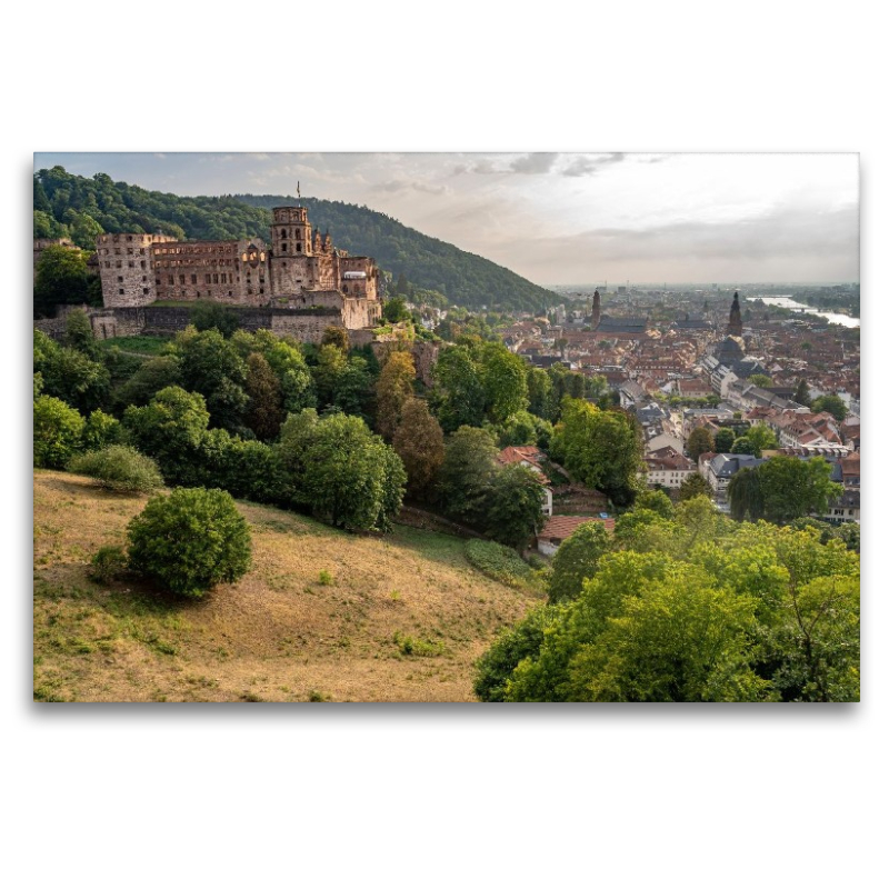 Schloss und Altstadt Heidelberg