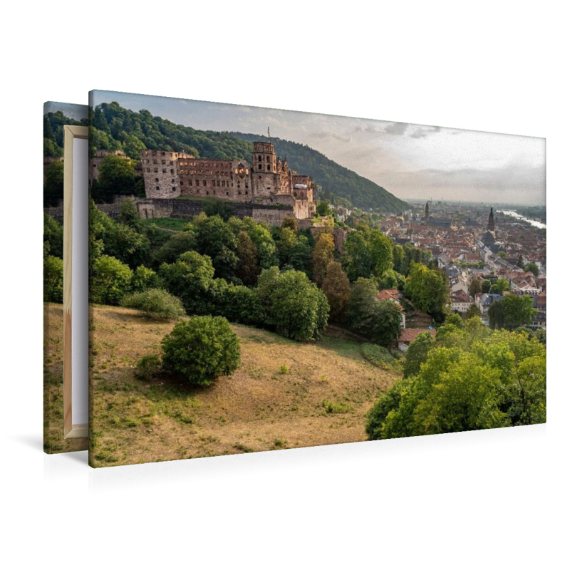 Schloss und Altstadt Heidelberg