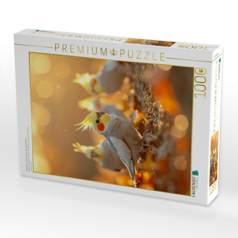 Frühstück im Sonnenlicht - Nymphensittiche