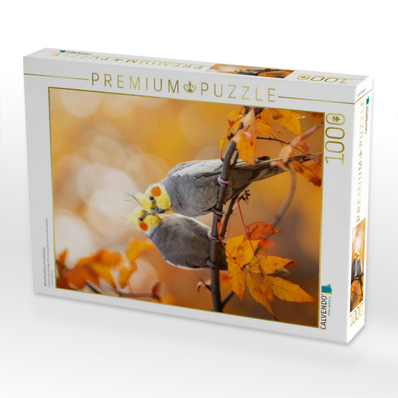 Nymphensittiche im Herbstlaub