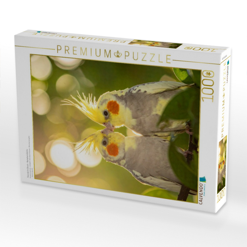 Freunde im Busch - Nymphensittiche