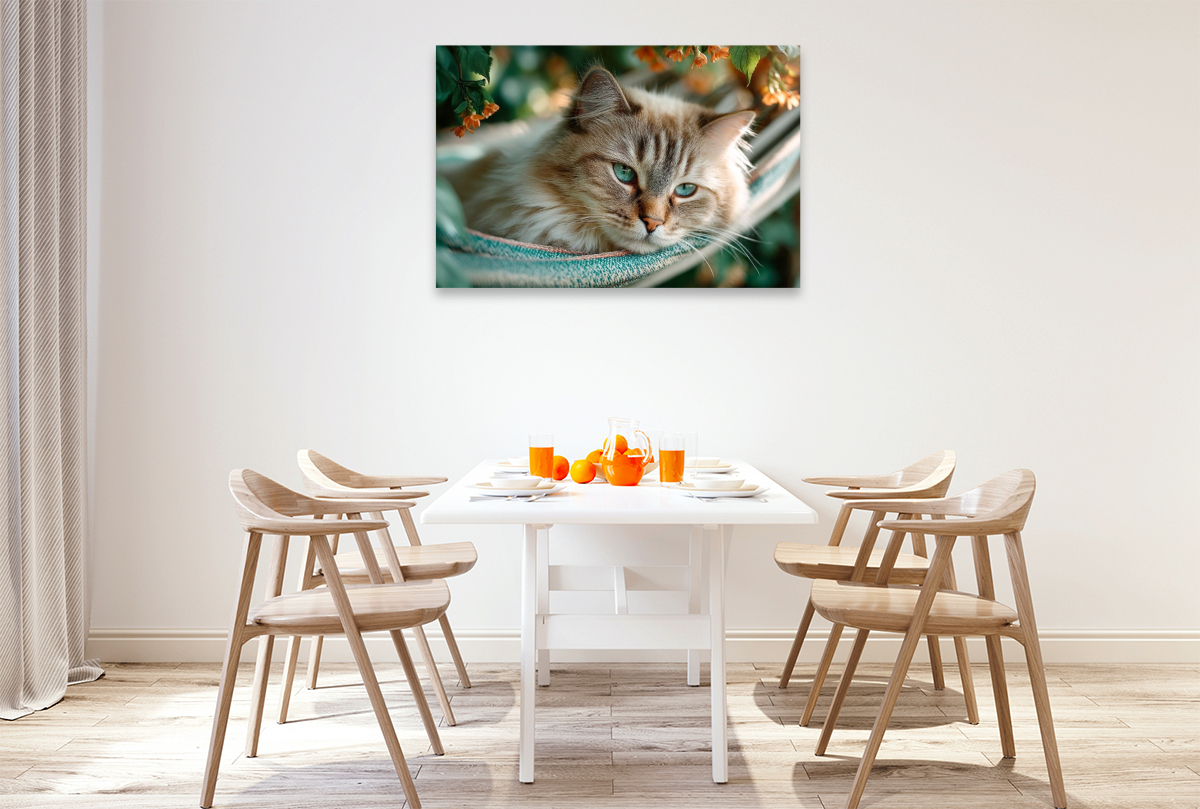 Sommerträume auf Samtpfoten