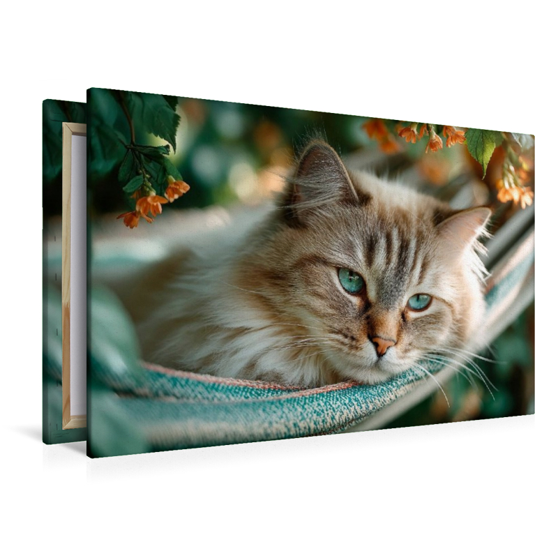 Sommerträume auf Samtpfoten