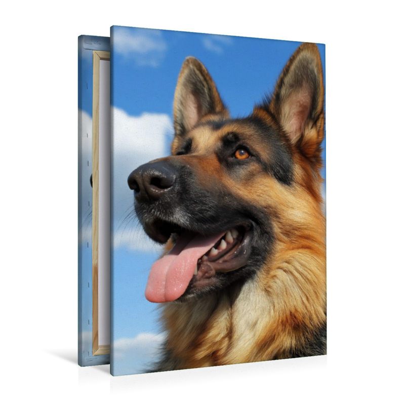 Sonne, Sand und Herzklopfen