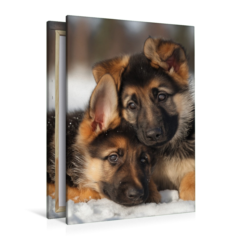 Ein Blick voller Geborgenheit